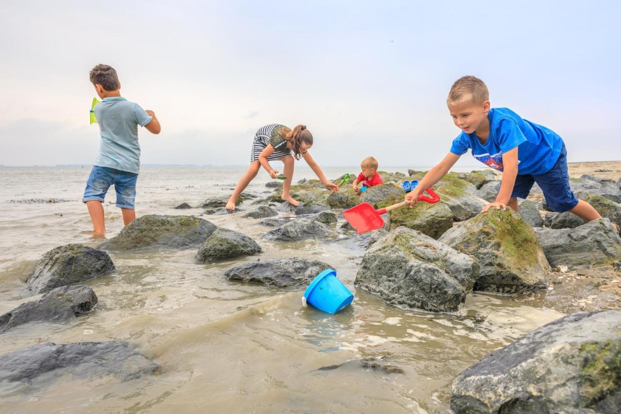 Luxe 5-persoons chalet op familiecamping Baarland Buitenkant foto